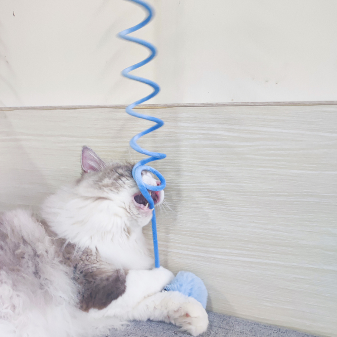 Interactive cat elastic toy