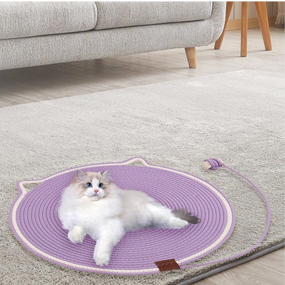 Cat Scratching Toy Carpet