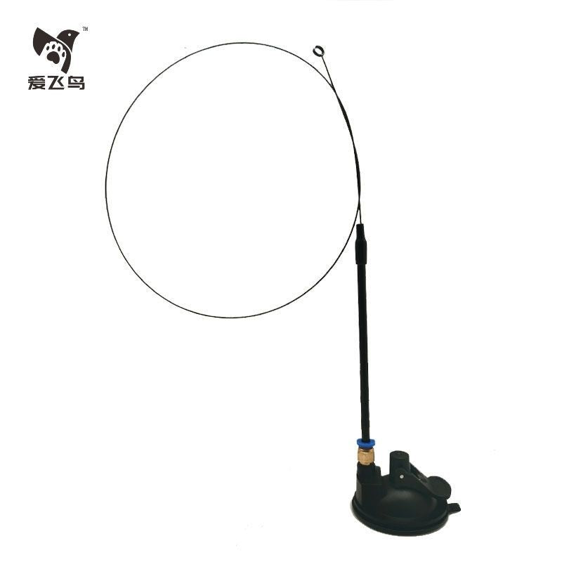 Flying Feather Cat Teaser