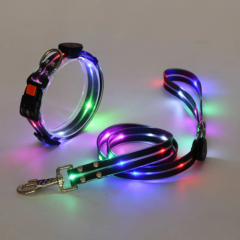 LED Dog Collar with Leash – NightBright