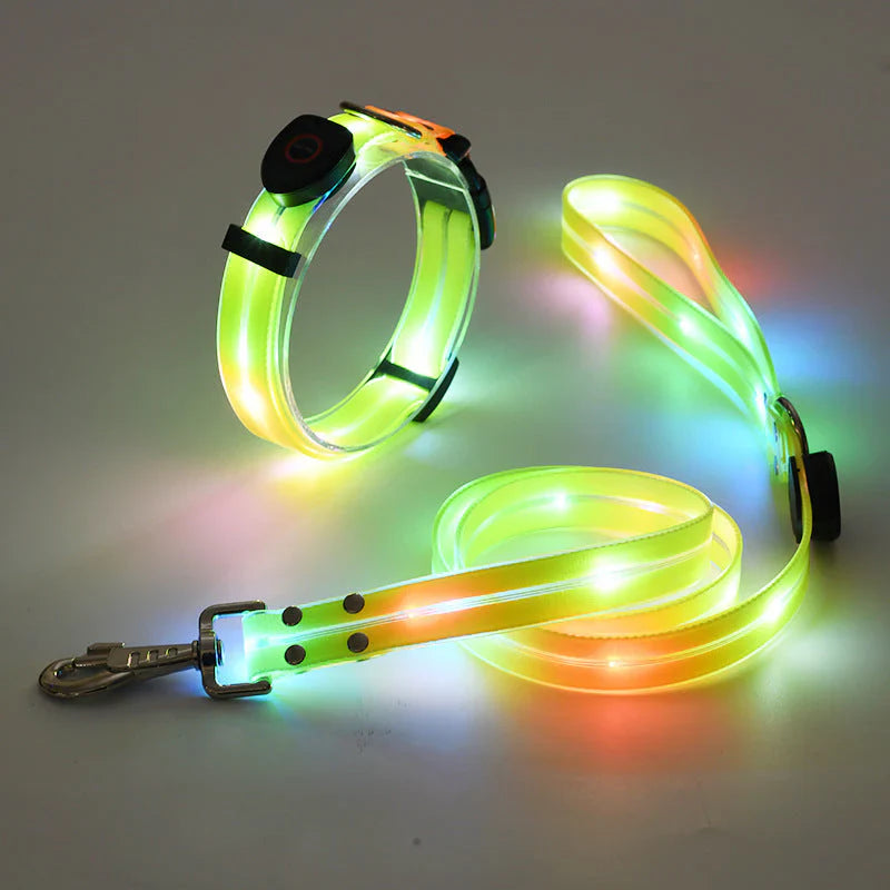LED Dog Collar with Leash – NightBright