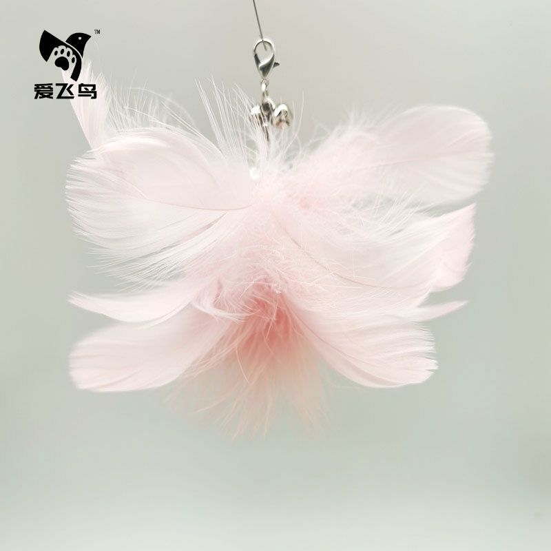 Flying Feather Cat Teaser