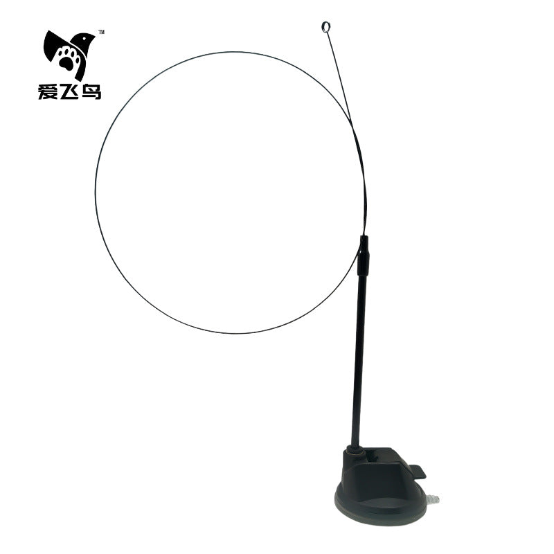 Flying Feather Cat Teaser