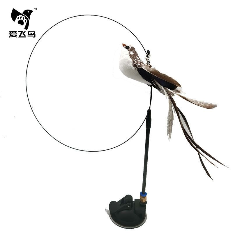 Flying Feather Cat Teaser