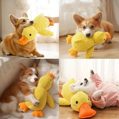 Quack-Quack Duck Dog Toy