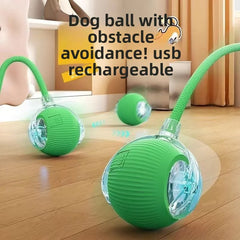 Rollraptor Interactive Pet Toy Ball