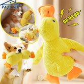 Quack-Quack Duck Dog Toy