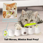 Smart Motion Cat Toy with Worm Design!