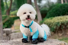 Waterproof Adjustable Dog Boots