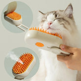 Cat Paw Shaped Steam Brush