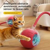 Rollraptor Interactive Pet Toy Ball