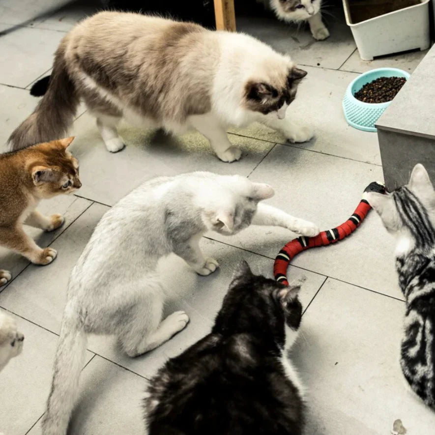 HuntMaster – Interactive Snake Toy