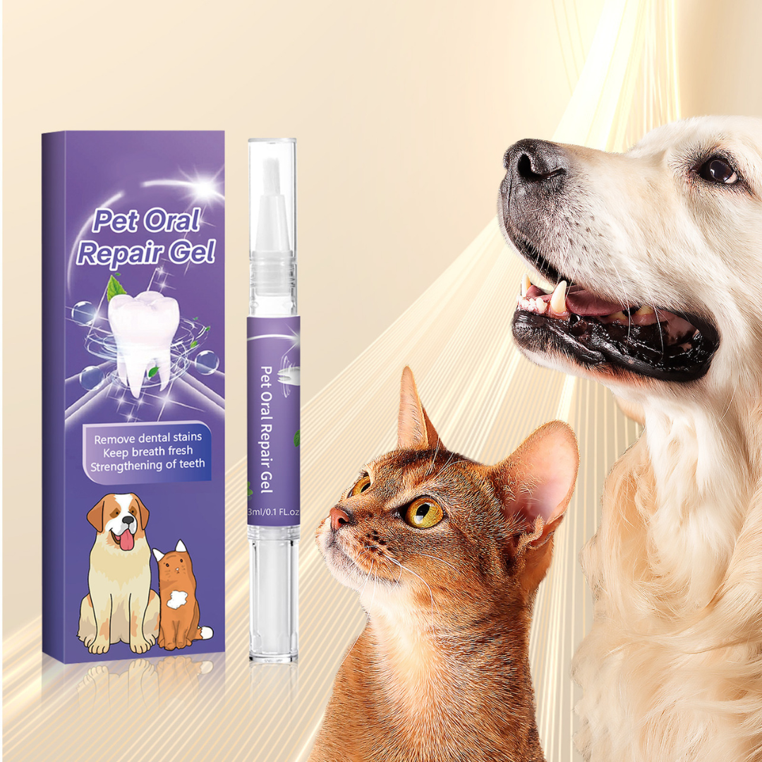 Dental Care Pen for Pets