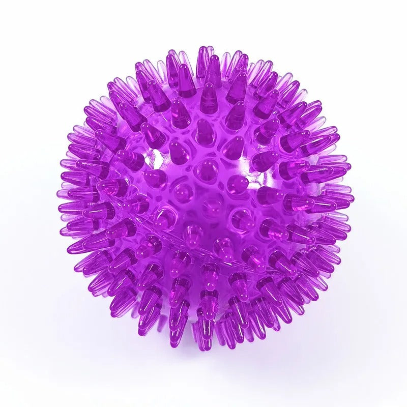 Chewing Toy Spike Balls Accessories