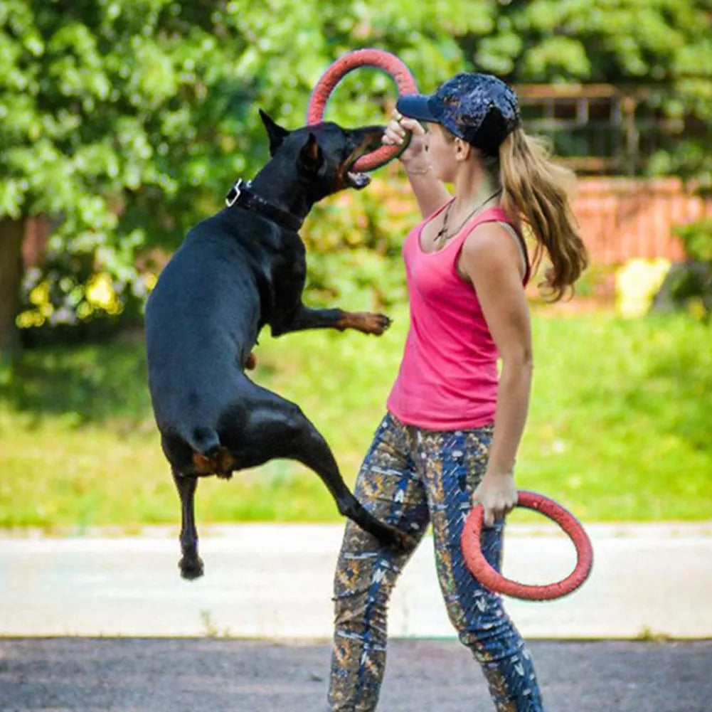 Floating Water Dog Toy Training Ring