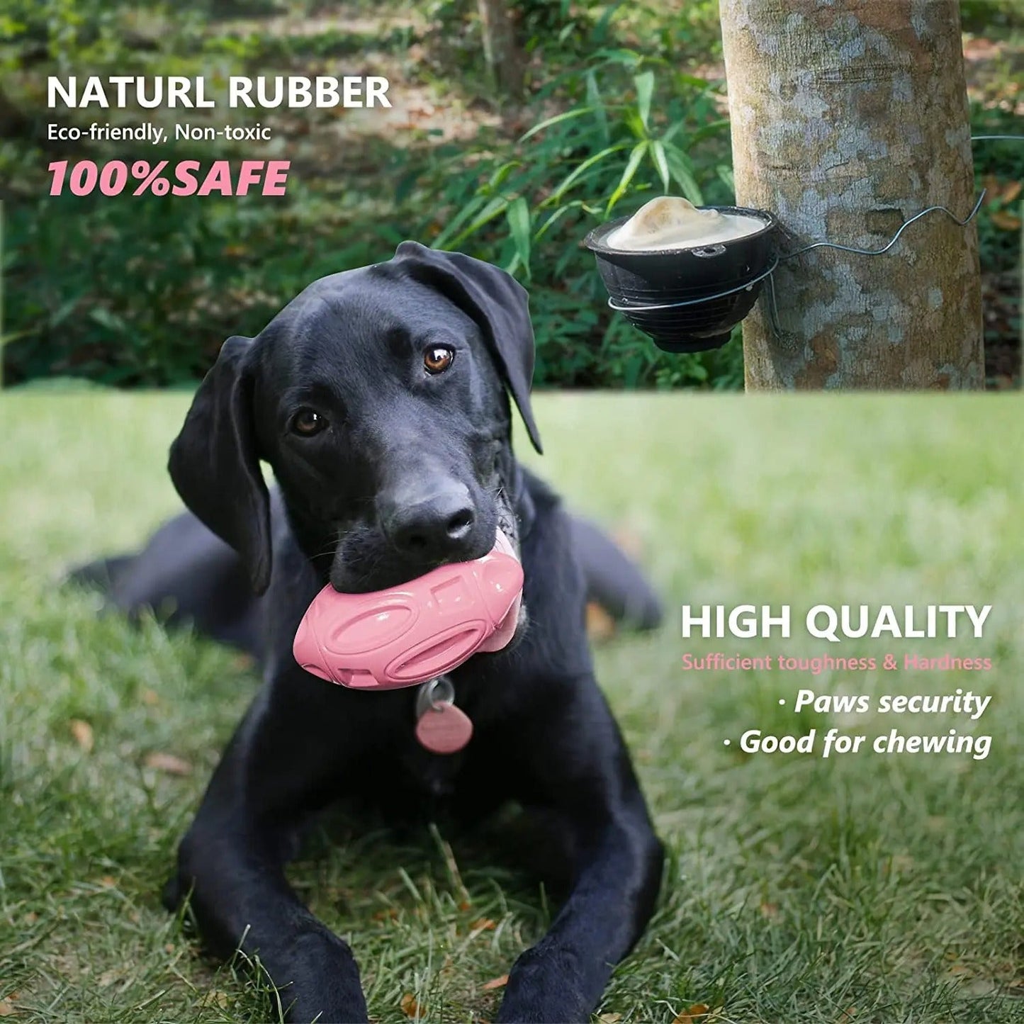 Squeaky Dog Toys for Aggressive Chewers