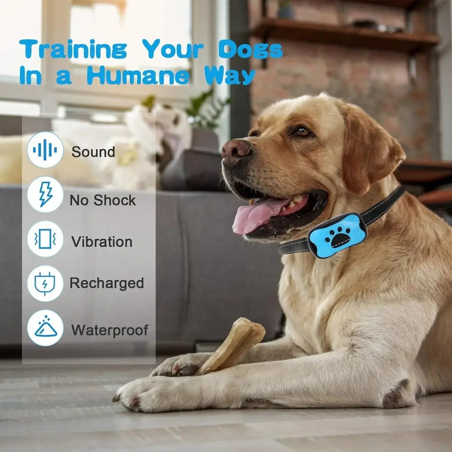 Anti Barking Device USB Rechargeable