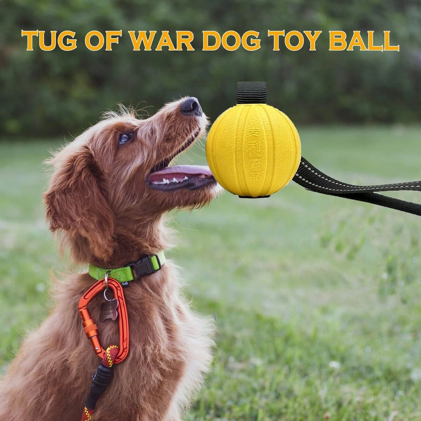 Dog Toy Balls on a Rope