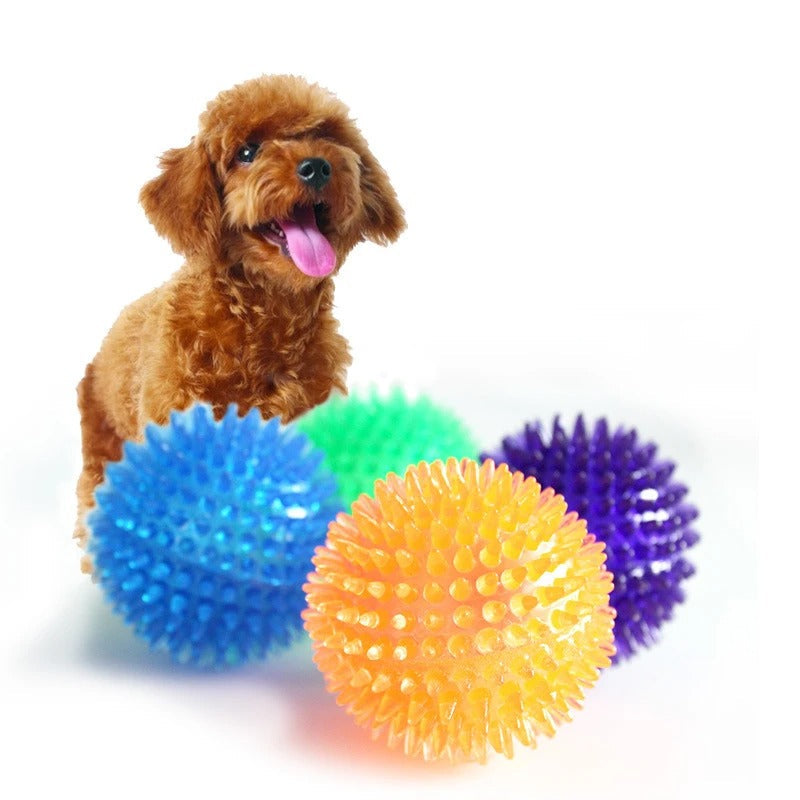 Chewing Toy Spike Balls Accessories