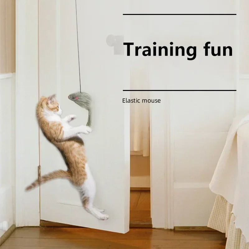 Self-Hanging Retractable Cat Toy