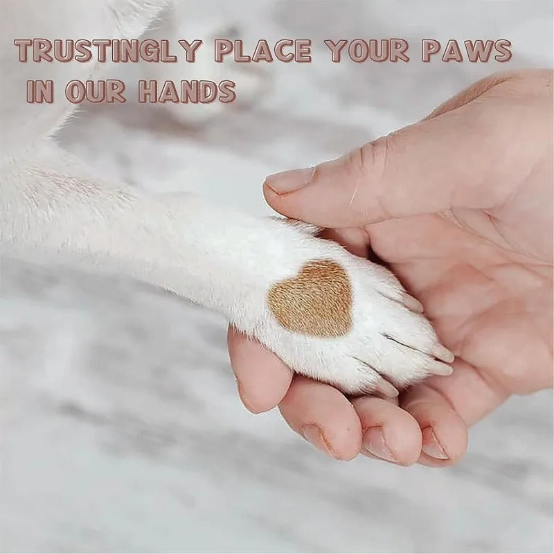 Paw Perfect Scratch & Groom