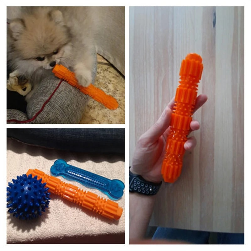 Squeaky Rubber Dog Toys
