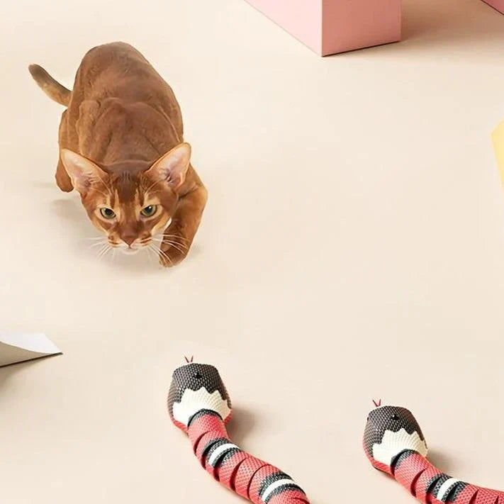 HuntMaster – Interactive Snake Toy