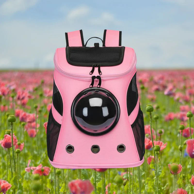 Cat Travel Bag – PurrTrek