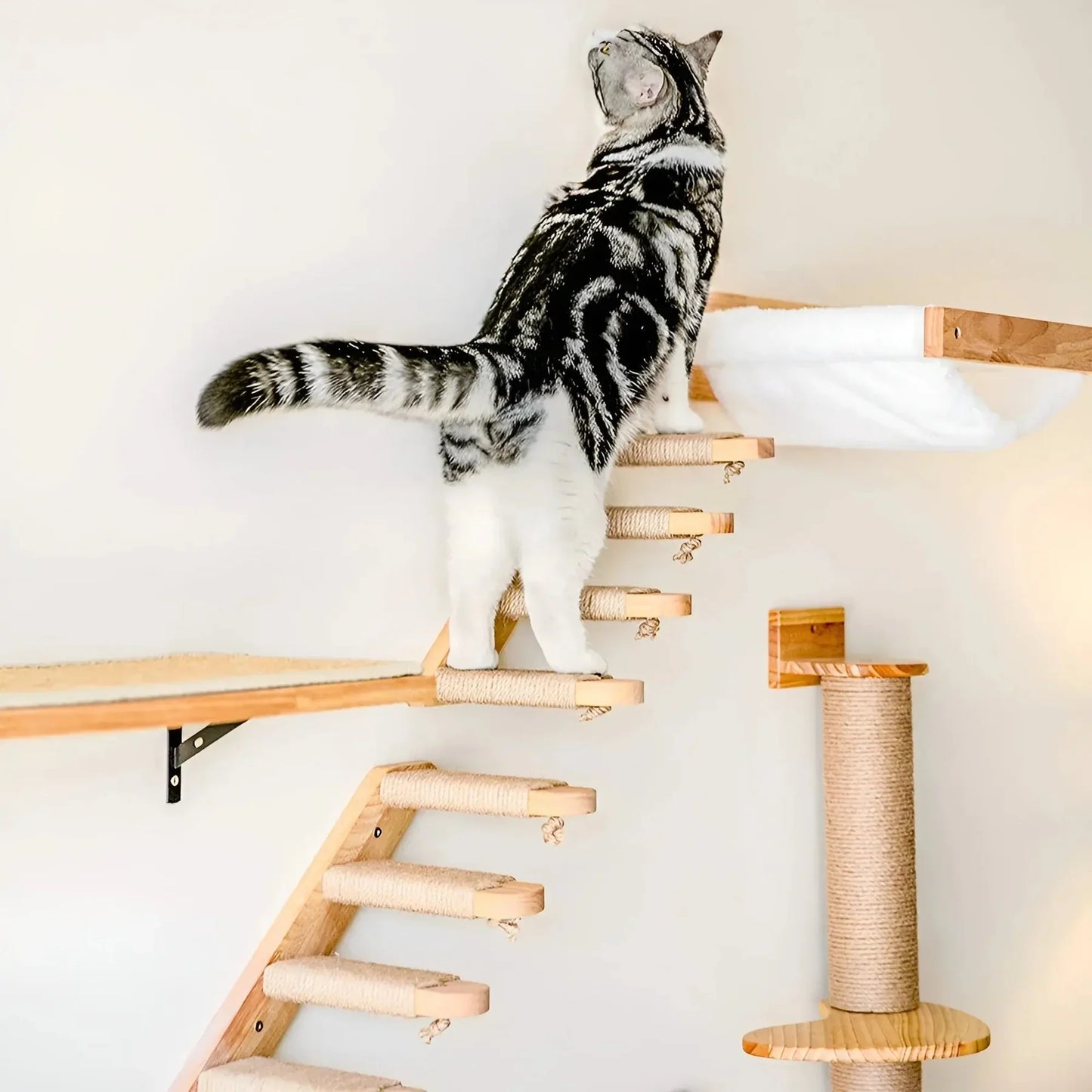 KletterBuddy β The Perfect Wall Shelf for Active Cats