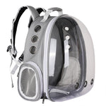 Foldable Cat/Dog Backpack