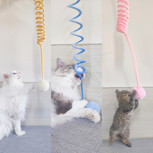 Interactive cat elastic toy