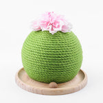 Cat Scratch Cactus with Integrated Toy