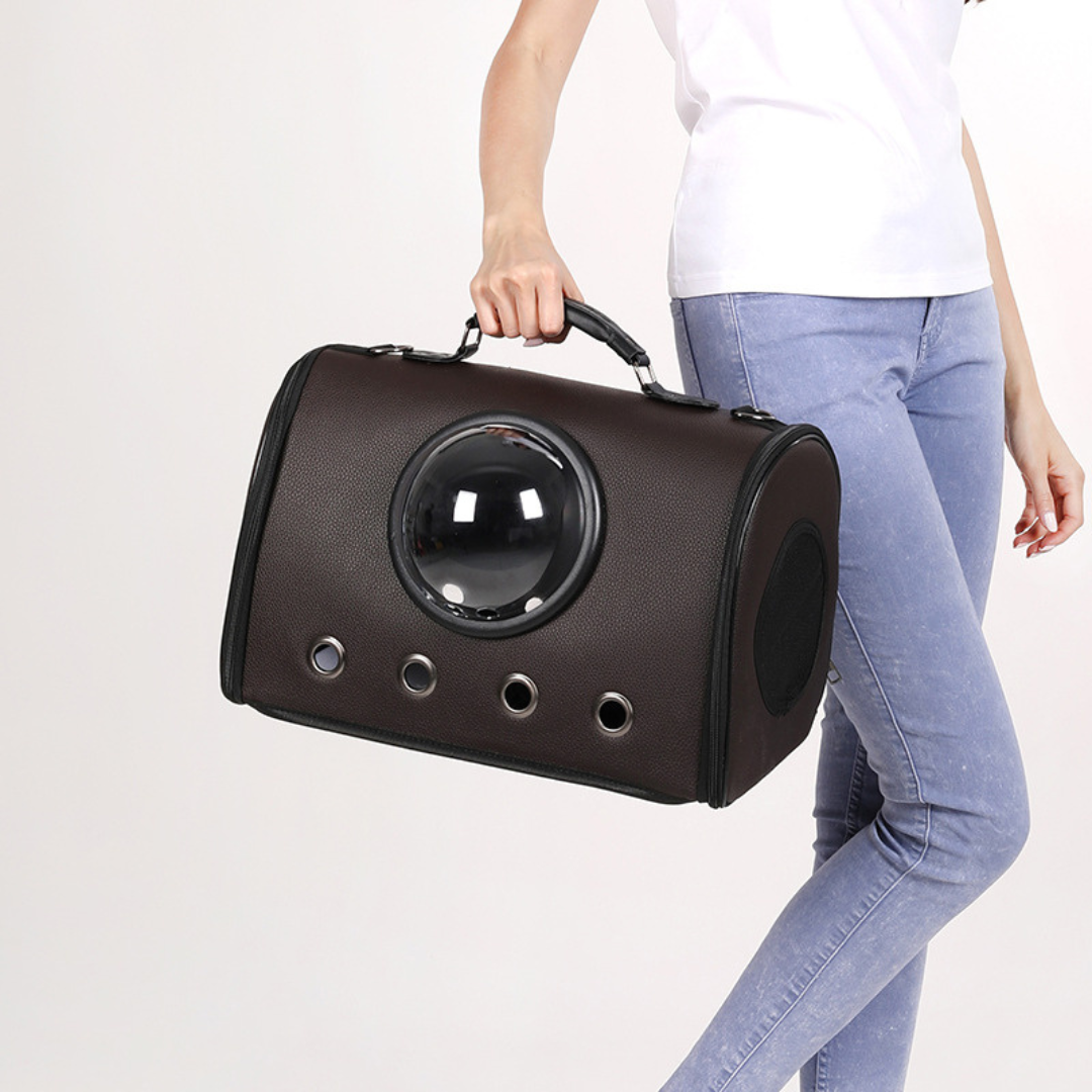 Airplane and car travel bag for pets