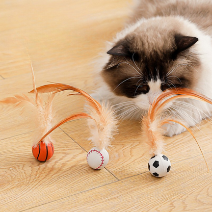 Cat Feather Rubber Ball Toy
