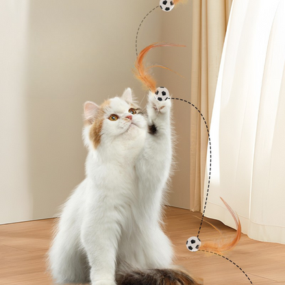 Cat Feather Rubber Ball Toy
