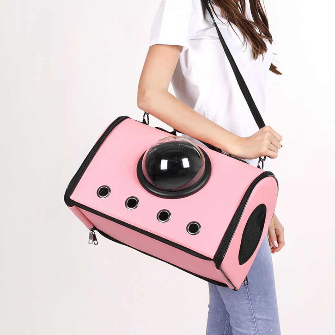 Airplane and car travel bag for pets