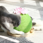 Cat Scratch Cactus with Integrated Toy