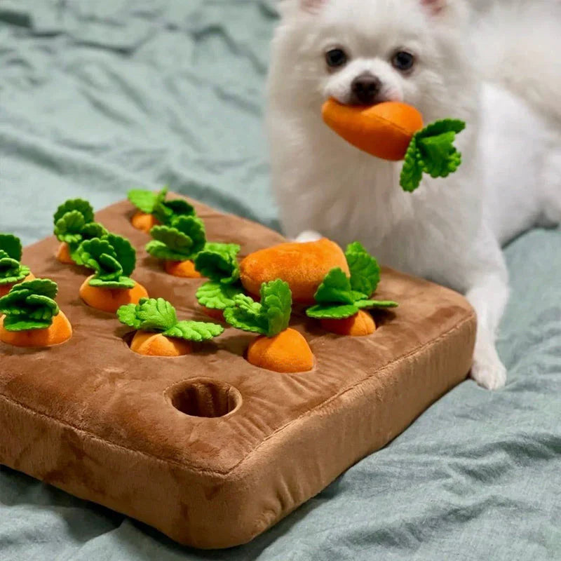Interactive Sniffing Toy – Carrot Sniffing Garden