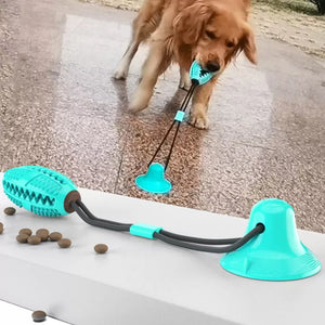 Durable Tug Toy for Dogs – PowerPaw