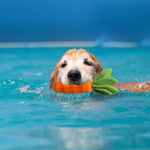 Eco-Friendly Natural Rubber Carrot for Dogs