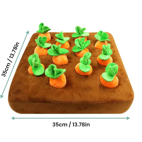 Interactive Sniffing Toy – Carrot Sniffing Garden