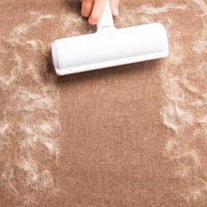 2-in-1 Pet Hair Remover - CleanSweep
