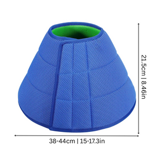 CareCone