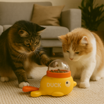 Ducksy