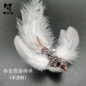 Flying Feather Cat Teaser