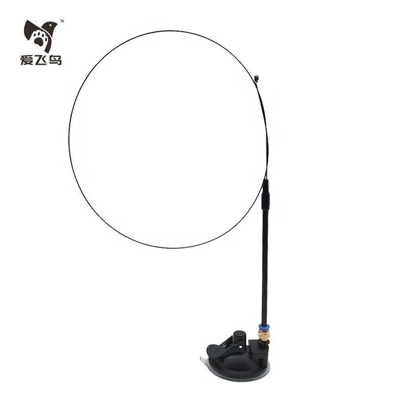 Flying Feather Cat Teaser