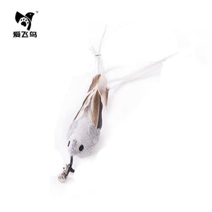 Flying Feather Cat Teaser