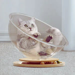 Cat Play and Relaxation Oasis – PurrPlay Pod