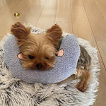 CozyPaws Cushion for Dogs - RelaxPad