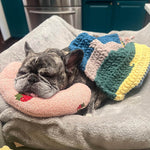 CozyPaws Cushion for Dogs - RelaxPad